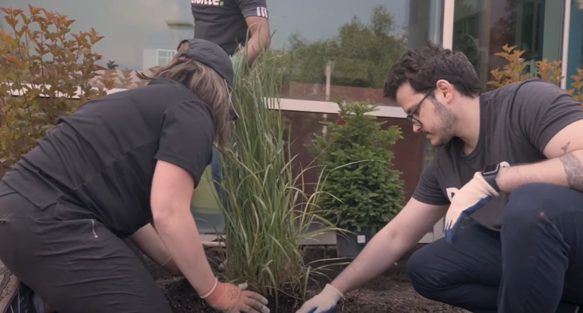 Deloitte employees volunteering at the Y, Planting flowers