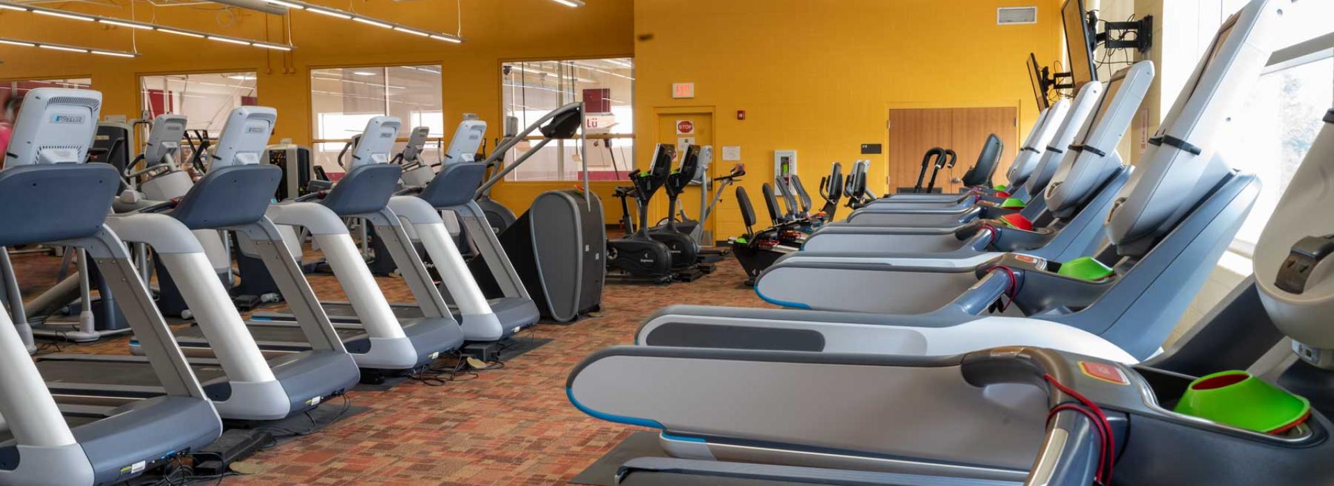 Image shows cardio machines and various exercise equipment